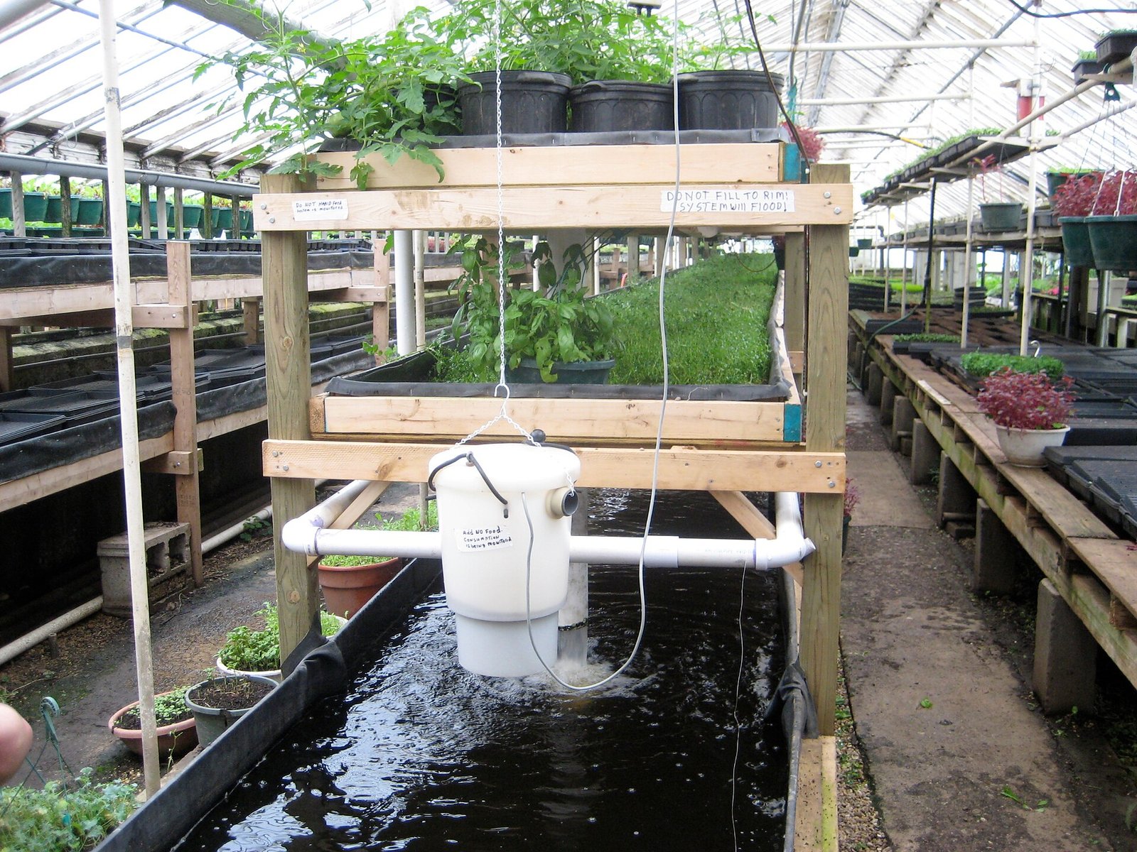 Conception de systèmes aquaponiques à lits de substrat vs. NFT vs. DWC