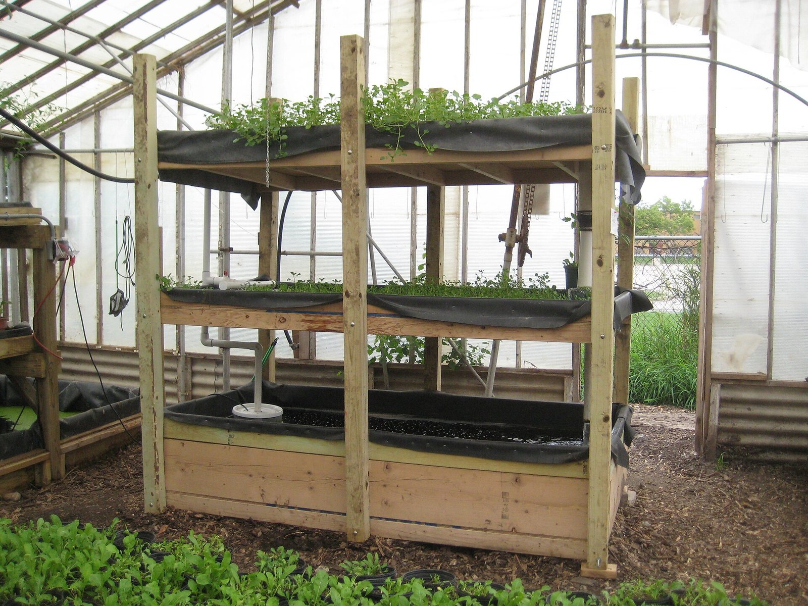 Aquaponics Biofilter Sizing for Plant Nutrient Supply