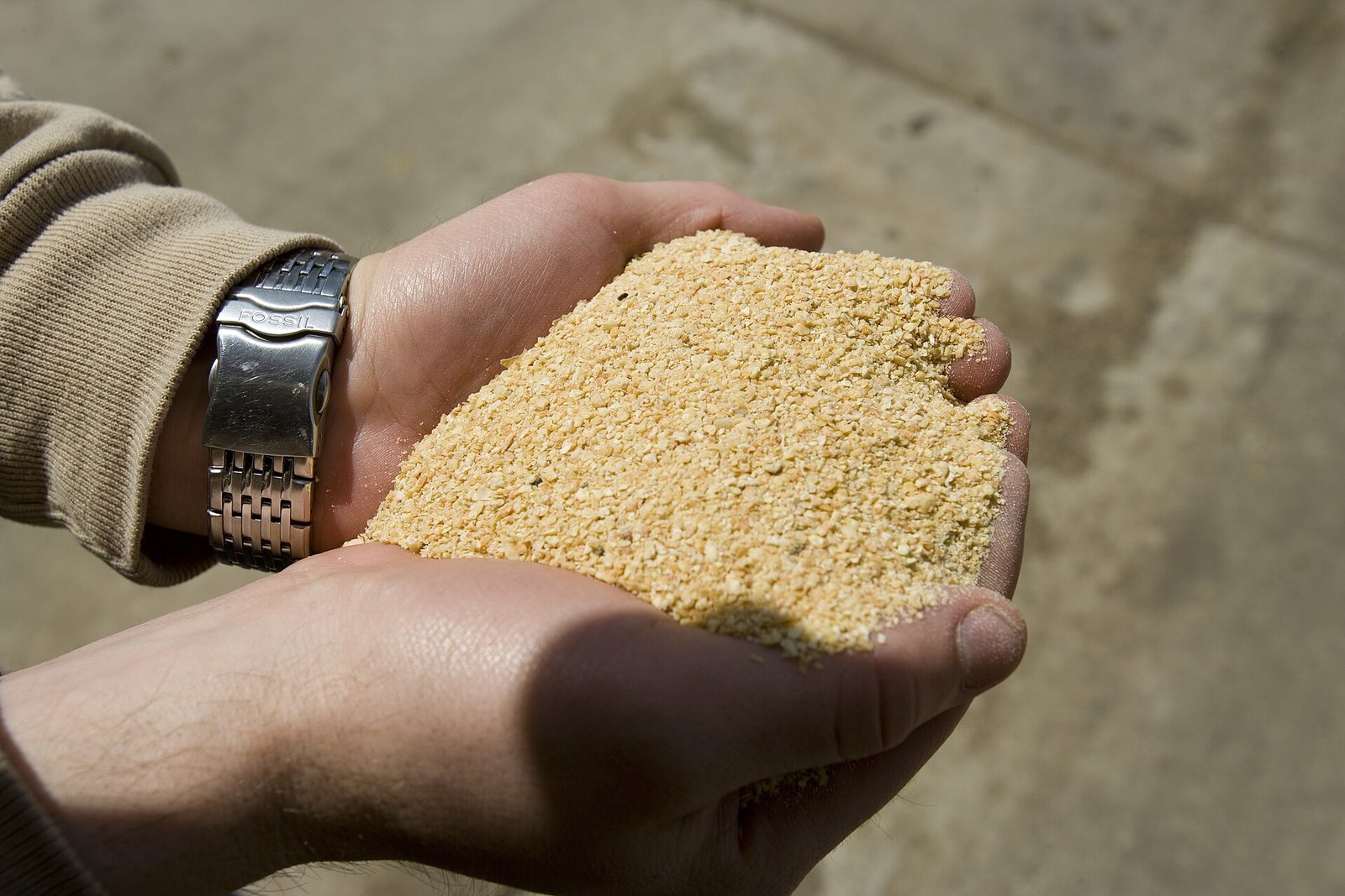 Harina de soja siendo añadida a un lote de formulación de alimento para peces