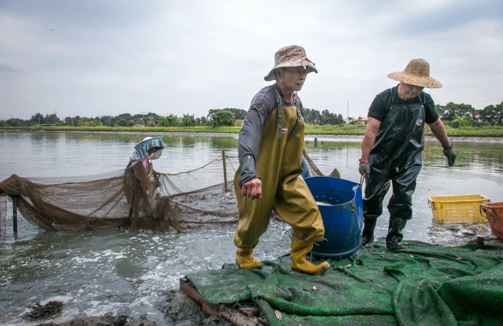 Harvest Crew Hygiëne en Food Safety Basics voor Farm-Gate Sales