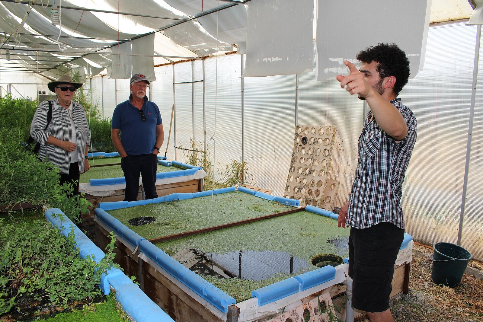 RAS Biofilters: How Nitrification Drives Water Reuse