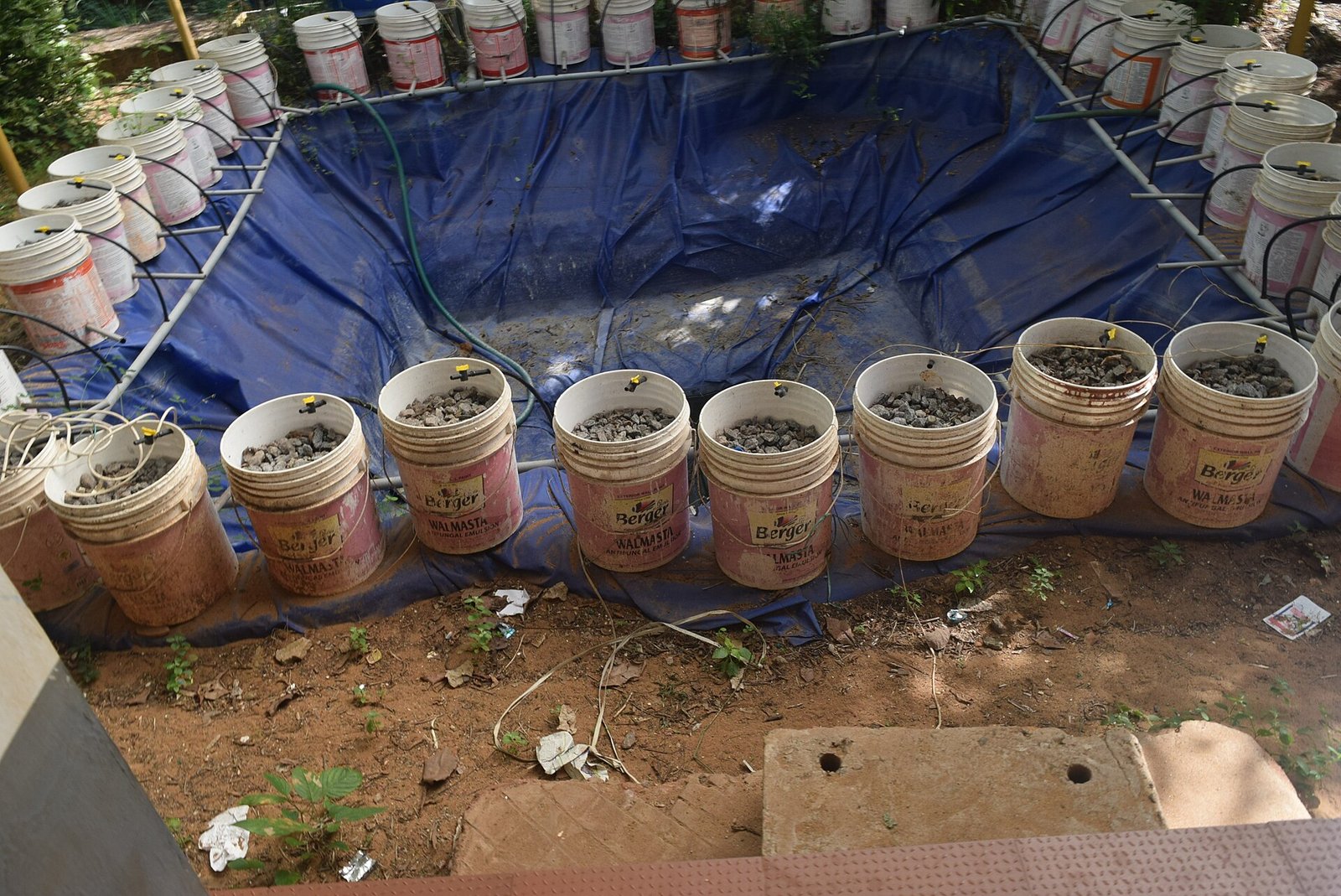 Como Equilibrar a Densidade de Povoamento de Peixes com a Área do Canteiro de Cultivo de Plantas