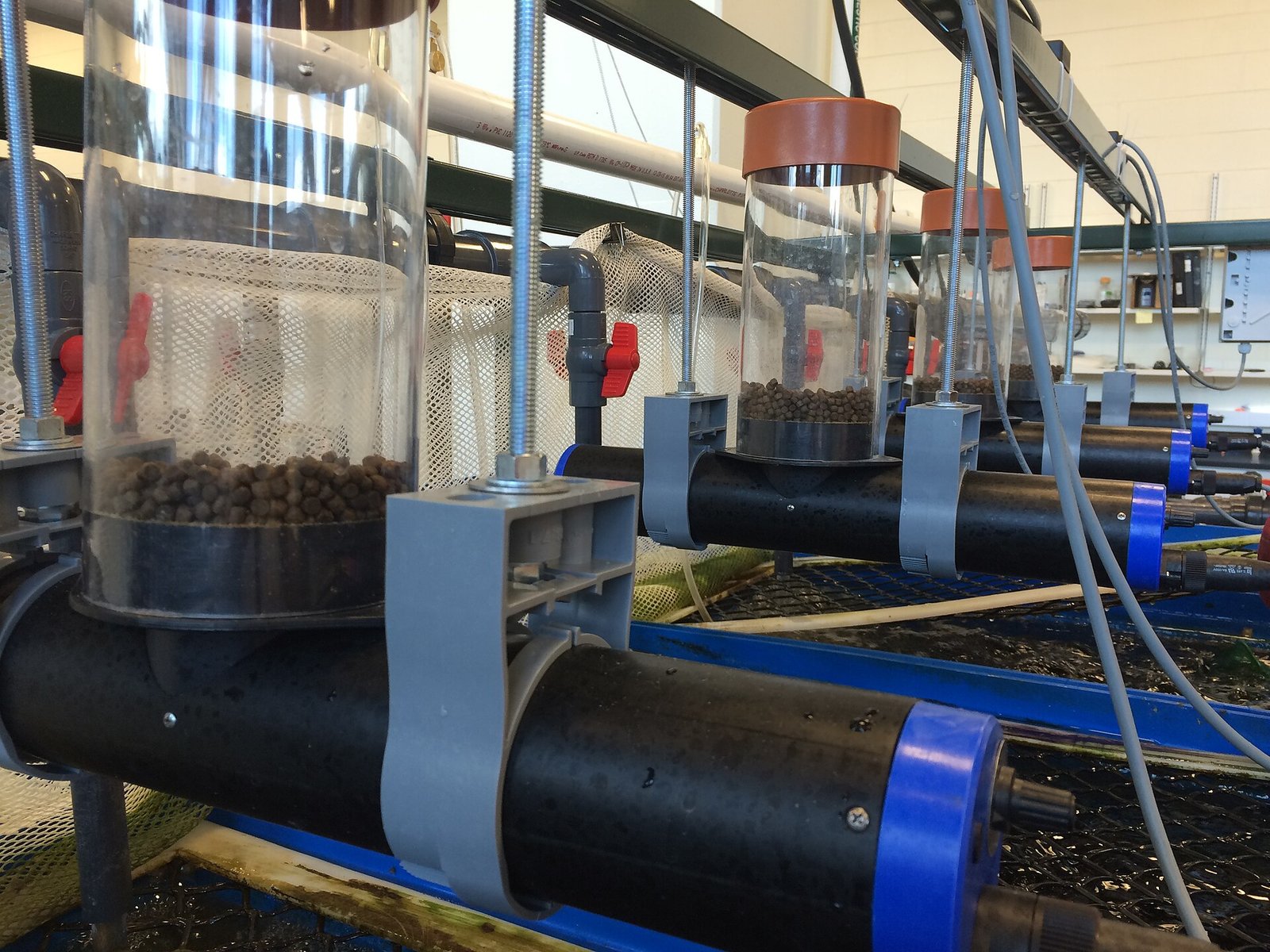 Biofilter Media Specific Surface Area