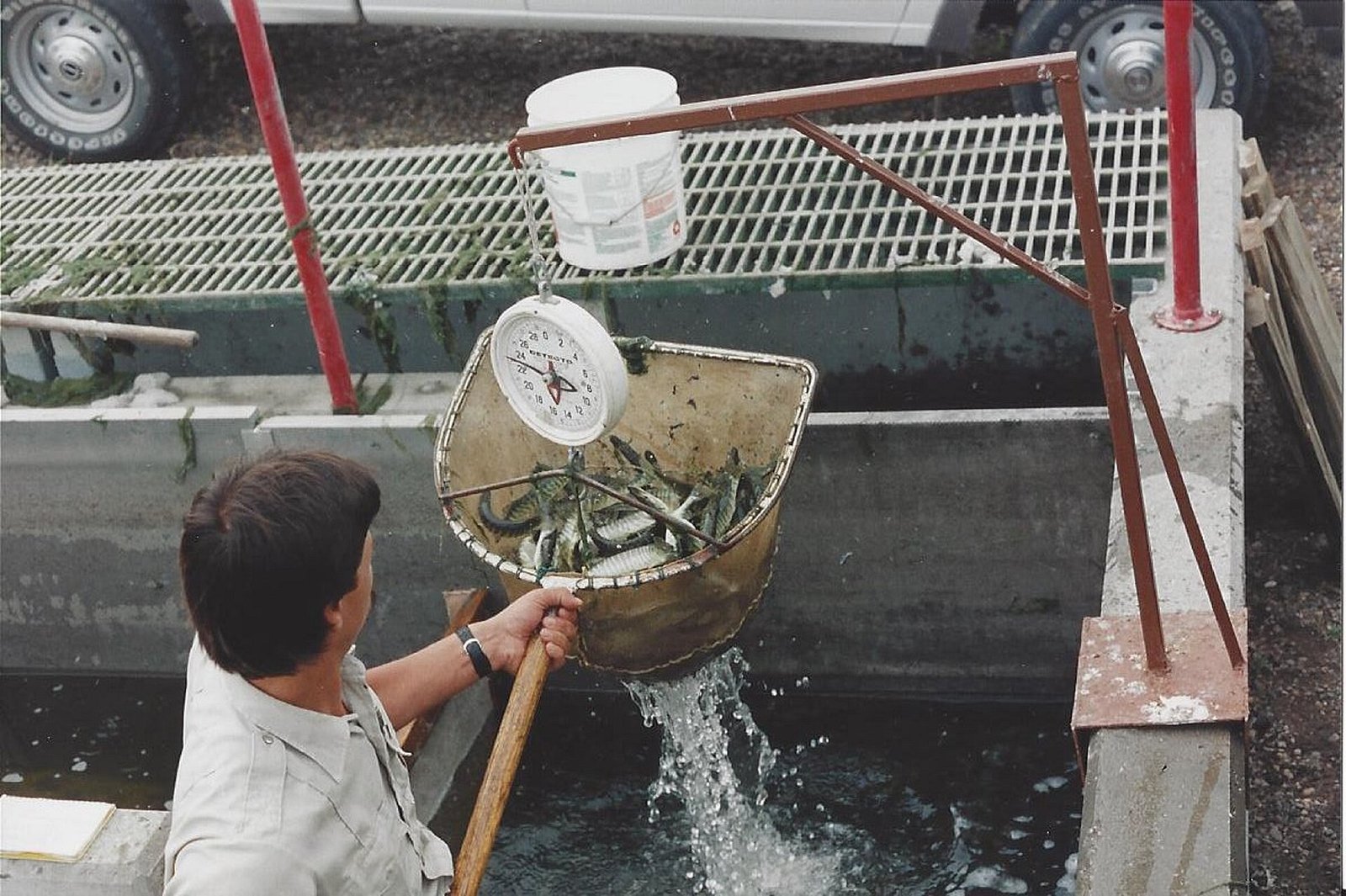 Teichsedimentmanagement