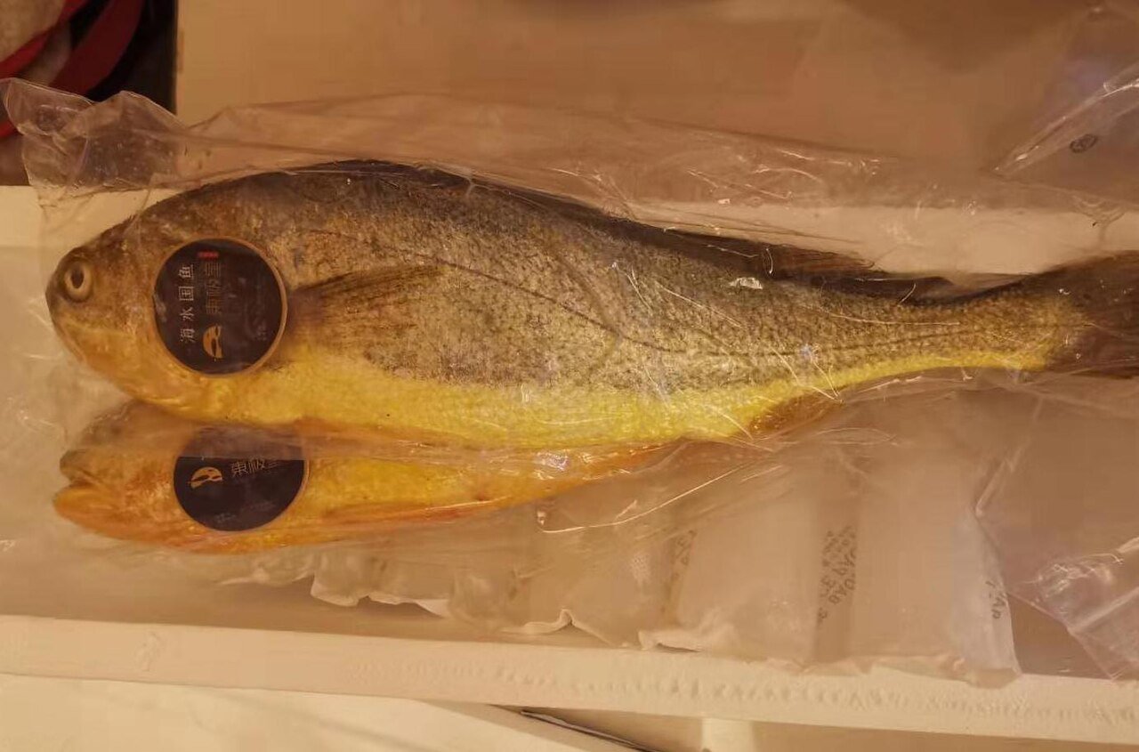 Большая желтая горбыль (Larimichthys crocea)