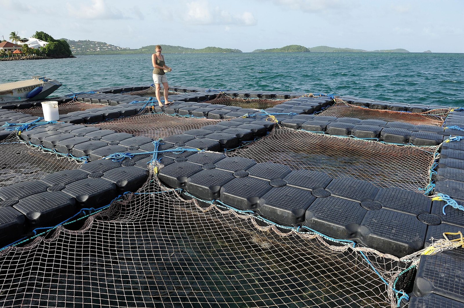 Copper-Based Antifouling Nets
