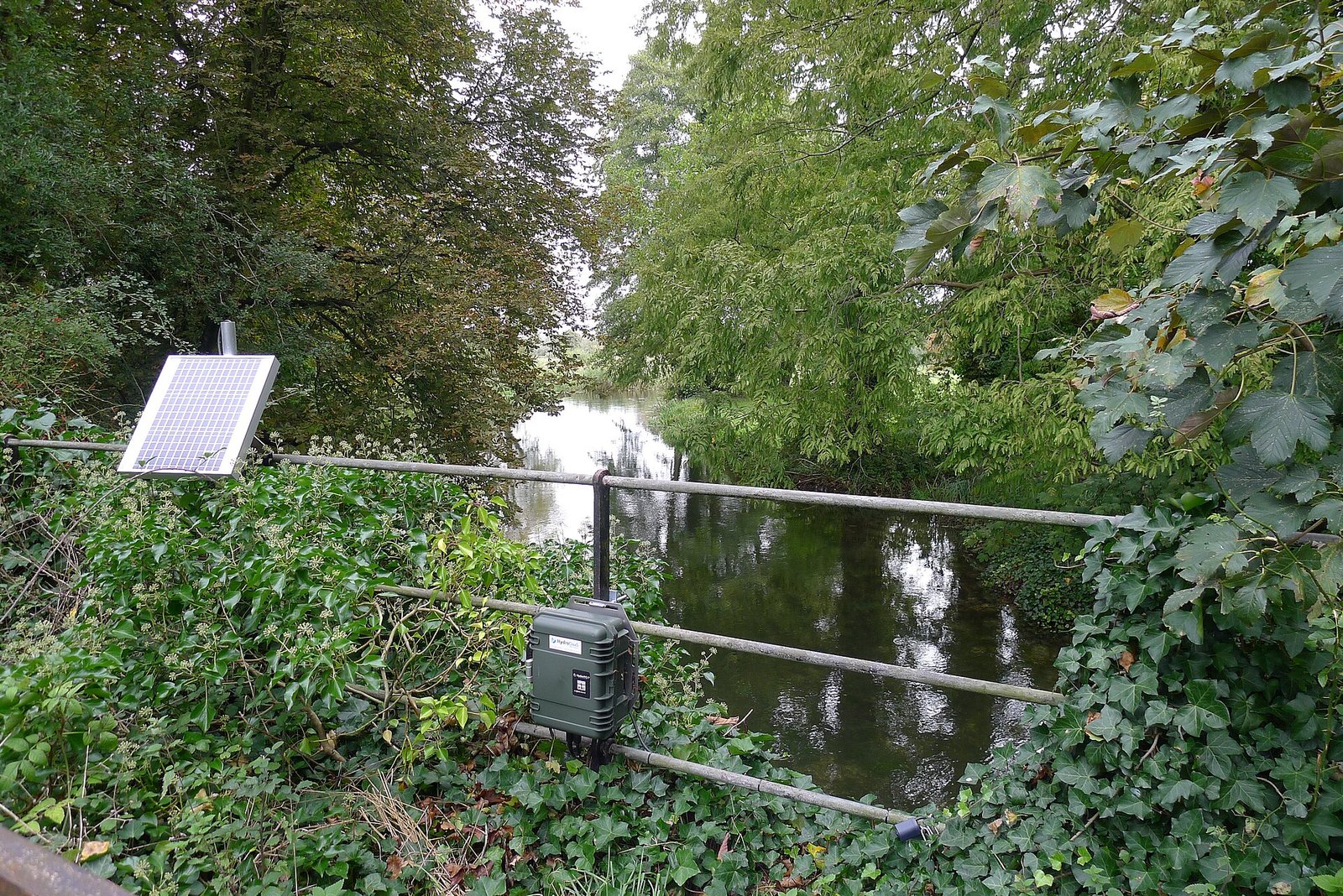 Dissolved Oxygen Probe Calibration and Maintenance