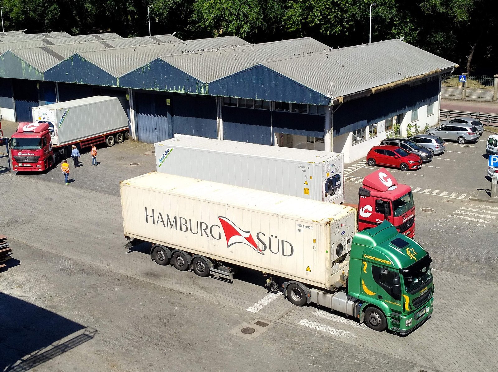 Surimi Processing